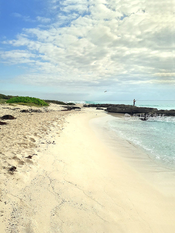 美丽的加勒比海海滩，美丽的卡门。Mayan Riviera, Quintana Roo，尤卡坦，墨西哥。